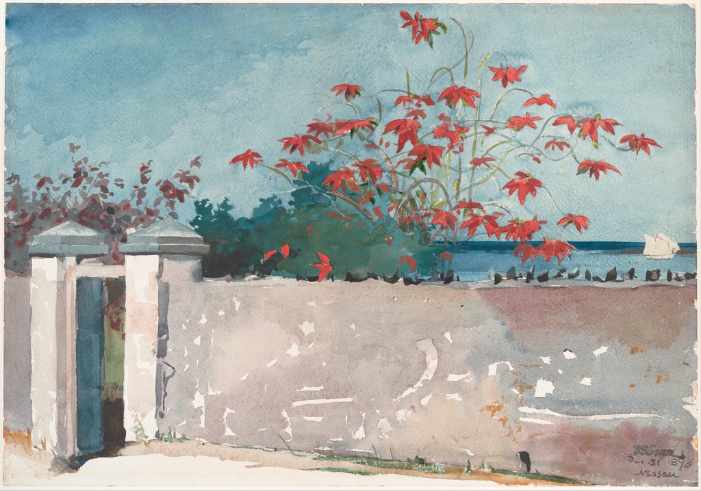 Zid u Nasau, Winslow Homer, A Wall Nassau, slika na platnu 8 Zid u Nasau, Winslow Homer, A Wall Nassau, slika na platnu - Slika 8