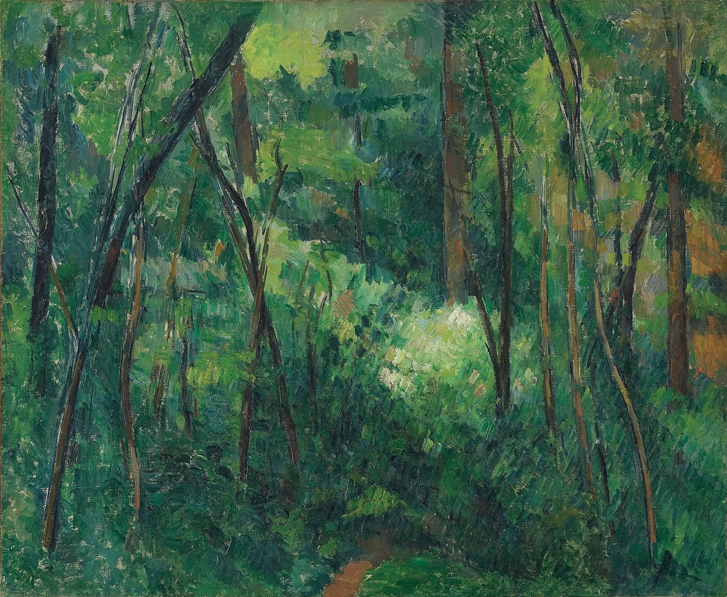 Unutrašnjost šume, Paul Cézanne, Interior of a forest, slika na platnu 8 Unutrašnjost šume, Paul Cézanne, Interior of a forest, slika na platnu - Slika 8