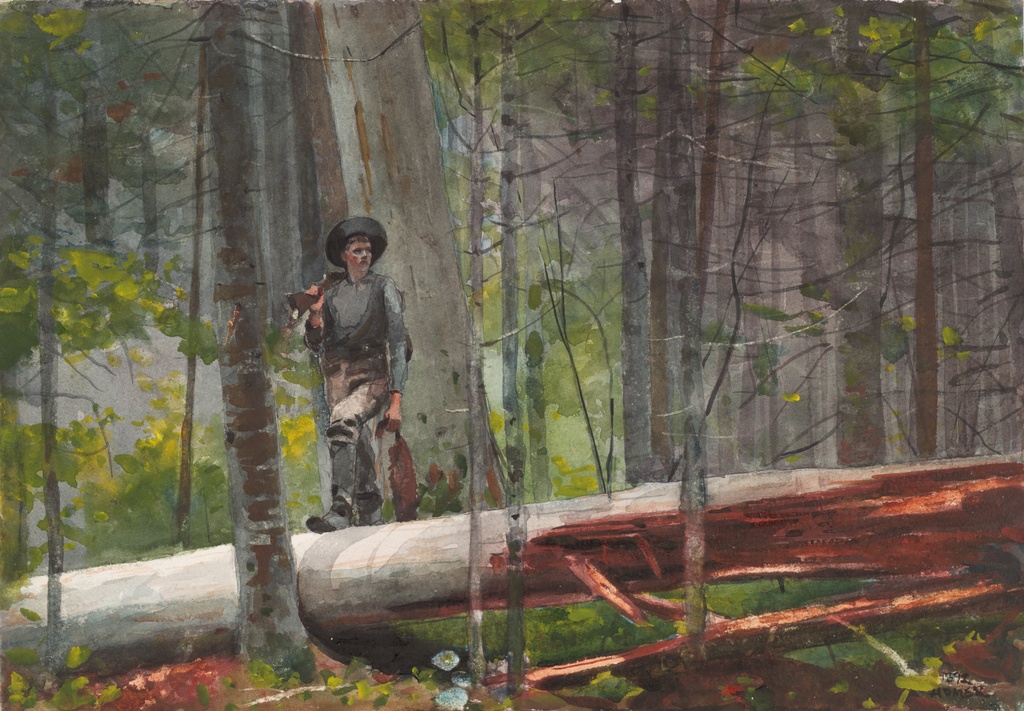 Lovac u Adirondacksu, Winslow Homer, Hunter in the Adirondacks, slika na platnu 8 Lovac u Adirondacksu, Winslow Homer, Hunter in the Adirondacks, slika na platnu - Slika 8