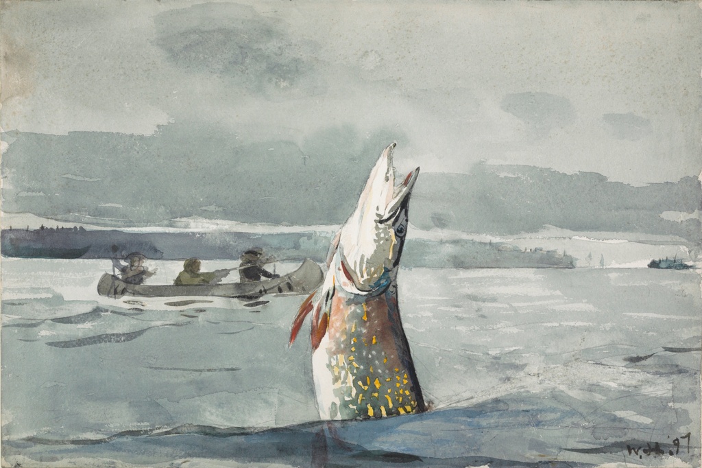Ribolov ouananiche na jezeru Sent Džon, Winslow Homer, Pike Lake St John Ouananiche Fishing, slika na platnu 8 Ribolov ouananiche na jezeru Sent Džon, Winslow Homer, Pike Lake St John Ouananiche Fishing, slika na platnu - Slika 8