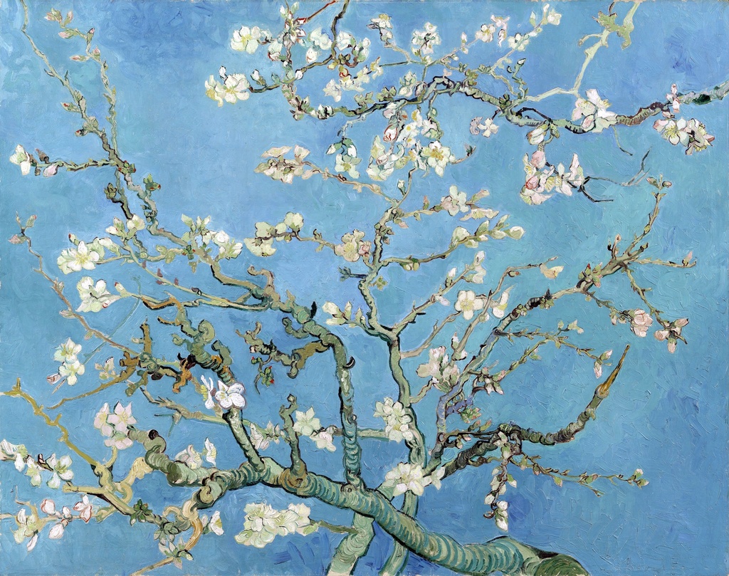 Bademovo cvetanje, Vincent van Gogh, Almond Blossom, slika na platnu 8 Bademovo cvetanje, Vincent van Gogh, Almond Blossom, slika na platnu - Slika 8