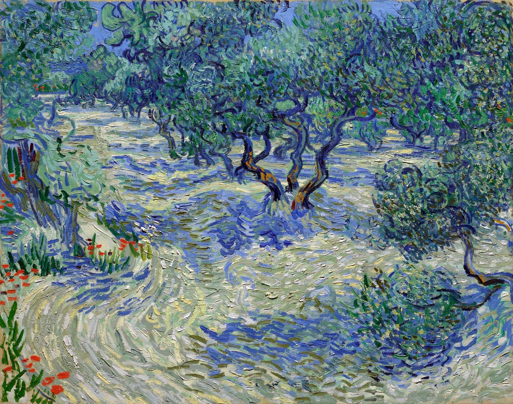 Maslinjak, Vincent van Gogh, Olive Orchard, slika na platnu 8 Maslinjak, Vincent van Gogh, Olive Orchard, slika na platnu - Slika 8