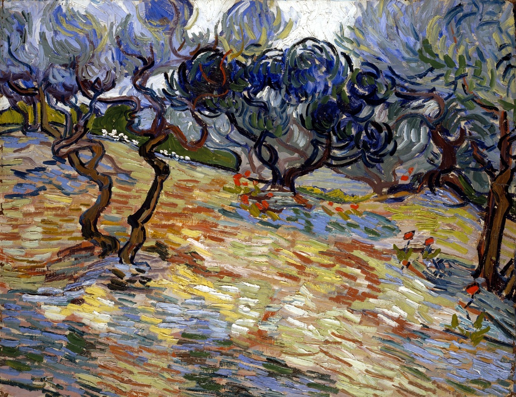 Masline, Vincent van Gogh, Olive Trees, slika na platnu 8 Masline, Vincent van Gogh, Olive Trees, slika na platnu - Slika 8